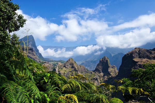 Investing in R&eacute;union